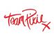 fancy dress in BRISTOL - Team Pixie