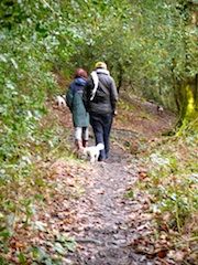 Walking in the woods - Dog Walkers Plymouth