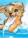 Dog Grooming in BURNTWOOD - Top N Tail Grooming Dog Grooming in BURNTWOOD - Top N Tail Grooming