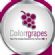 graphic design in NEWCASTLE UPON TYNE - ColorRgrapes