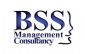 Business Plans in LONDON - BSS Management Consultancy
