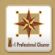  in BEXLEYHEATH - A-1 Professional Cleaner Ltd