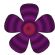 handymen in COLCHESTER - Natasha Carsberg Garden Services