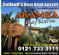 Caribbean Restaurants in SOLIHULL - Akamba