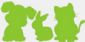 dog training in CROYDON - Leading Pet Services