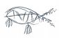 Art Galleries in ORMSKIRK - Wickerfish