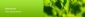 gardeners in CROWBOROUGH - Ashwoods Tree Work & Fencing Services