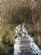  in NEWCASTLE UPON TYNE - Diggly Dog Walking