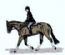 Horse Riding in PRESTON - Carol Stables Equine Services