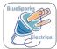  in LAUNCESTON - BlueSparks Electrical