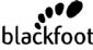 Internet Security in HASSOCKS - Blackfoot UK