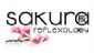 holistic therapy in BIRMINGHAM - Sakura Reflexology