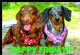 pet sitting in STOCKPORT - Debs Happyhounds dogwalker pet sitting in STOCKPORT - Debs Happyhounds dogwalker