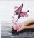 complementary therapy in CARMARTHEN - Humphries Holistics complementary therapy in CARMARTHEN - Humphries Holistics