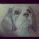 artists in LIVERPOOL - Kate Evanson, Freelance Artist