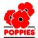 cleaners in STOCKPORT - Poppies of Stockport