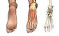 Podiatry in REDCAR - Cleveland Chiropody and Sports Injuries