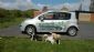 Pet Sitting in STOCKTON-ON-TEES - Mind My Pet