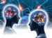 Learning and Development in TUNBRIDGE WELLS - PRISM Brain Mapping UK Ltd Learning and Development in TUNBRIDGE WELLS - PRISM Brain Mapping UK Ltd