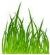 Gardening in SOUTHEND-ON-SEA - JT Gardening Ltd