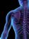 Therapeutic Massage in DEVIZES - Wiltshire Osteopaths