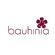 massage therapists in BIRMINGHAM - Bauhinia Therapy