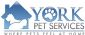 Pet Sitting in YORK - York Pet Services