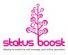Social Media Marketing in LEICESTER - Status Boost Social Media