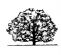gardeners in YORK - Oakwood Garden Maintenance
