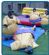 cake makers in NOTTINGHAM - Midlands Sumo Suits Hire