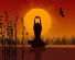 beauty in GLASGOW - Sereno Beauty & Wellbeing