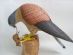 Teachers in BECCLES - Terry Everitt - Bird Carver