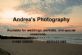 Photographers in NORWICH - Andrea's Photography