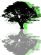Gardeners in NORWICH - J.B.Tree Gardeners in NORWICH - J.B.Tree