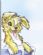Dog Grooming in BASINGSTOKE - Clip4Dogs
