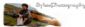 Photography in CASTLEFORD - Sykes Photography