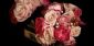 photographers in LONDON - Andrew Youngson Photography photographers in LONDON - Andrew Youngson Photography