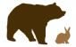 Ecommerce in BIRMINGHAM - Bear & Rabbit