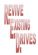gardeners in LINCOLN - Revive Existing Drives