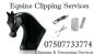 Equestrian Services in GLOSSOP - Equine Clipping Services