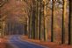 Therapeutic Counselling in ALTRINCHAM - Minding the Workplace