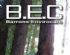 Tree Surgeons in MIRFIELD - Barrons Envirocare Tree Surgeons in MIRFIELD - Barrons Envirocare