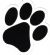 Pet Supplies in LEIGH - Pawfection4pets