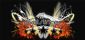 graphic design in WOLVERHAMPTON - Pixel Slinger Design
