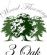 flooring in LONDON - 3 Oak Wood Flooring