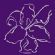graphic design in SOUTHAMPTON - Purplelily Design