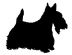 Pet Supplies in TRING - Gosford Pets