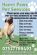 Pet Sitting in WORKSOP - Happy Paws Pet Services