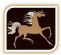 Contract Cleaners in BURY - Palomino Cleaning Services Contract Cleaners in BURY - Palomino Cleaning Services