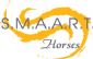 Horse Trainers in LARKHALL - SMAART Horses